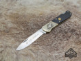 /album/921-wildlife-schnepfe/921-schnepfe-03-jpg/